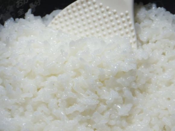 炊きたてご飯